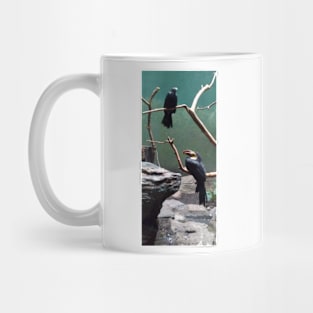 Toucans on branch t-shirt Mug